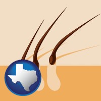 texas map icon and an epilation concept diagram