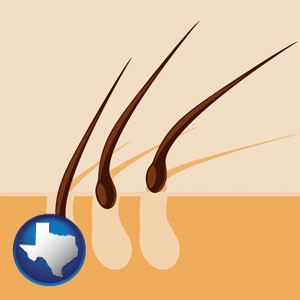 an epilation concept diagram - with Texas icon